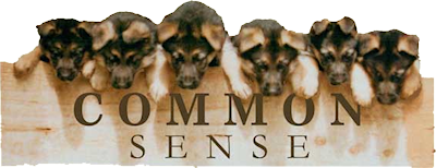 Natural Raw Dog Food Common Sense